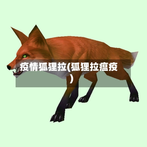 疫情狐狸拉(狐狸拉瘟疫)-第3张图片