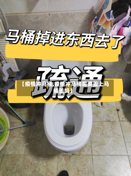 【疫情冲马桶,疫情冲马桶需要盖上马桶盖吗】-第2张图片