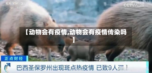 【动物会有疫情,动物会有疫情传染吗】
