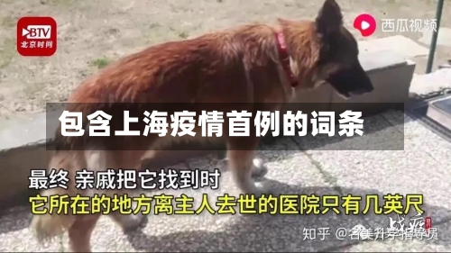 包含上海疫情首例的词条-第1张图片