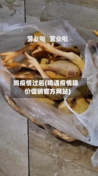 鸡疫情过后(鸡遇疫情降价促销官方网站)-第2张图片