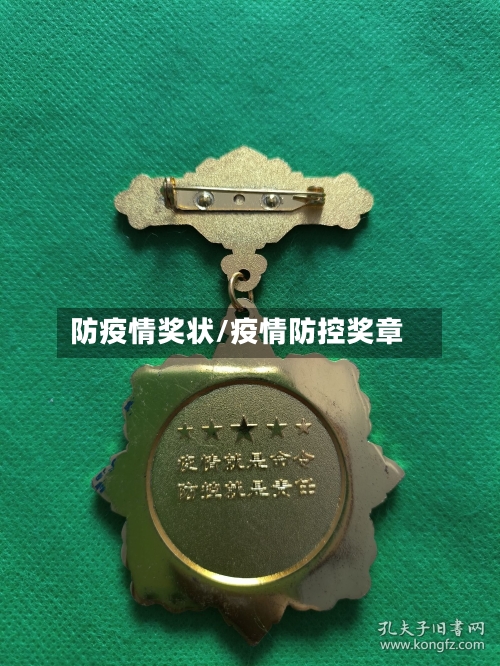 防疫情奖状/疫情防控奖章-第3张图片
