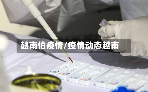 越南伯疫情/疫情动态越南-第2张图片