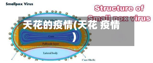 天花的疫情(天花 疫情)-第2张图片