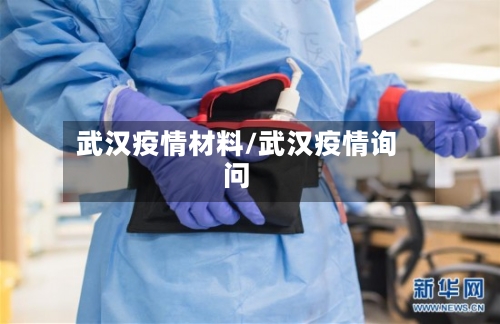 武汉疫情材料/武汉疫情询问-第2张图片