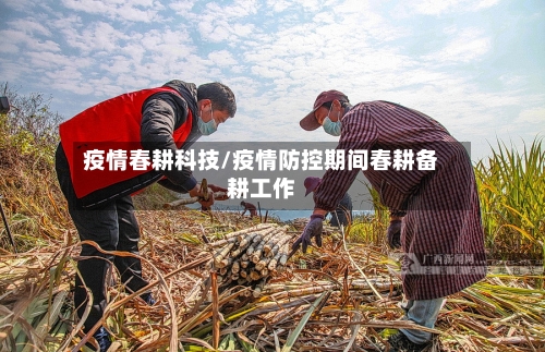 疫情春耕科技/疫情防控期间春耕备耕工作-第2张图片