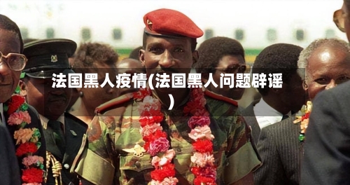 法国黑人疫情(法国黑人问题辟谣)-第1张图片