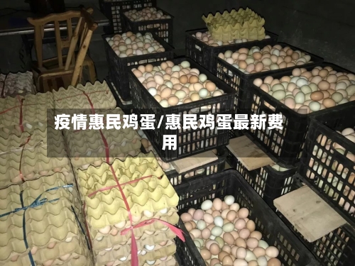 疫情惠民鸡蛋/惠民鸡蛋最新费用-第1张图片