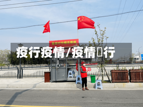 疫行疫情/疫情岀行-第3张图片