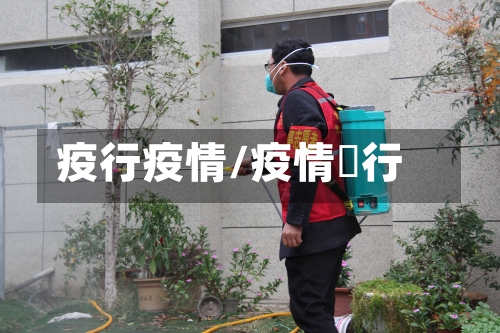 疫行疫情/疫情岀行-第1张图片