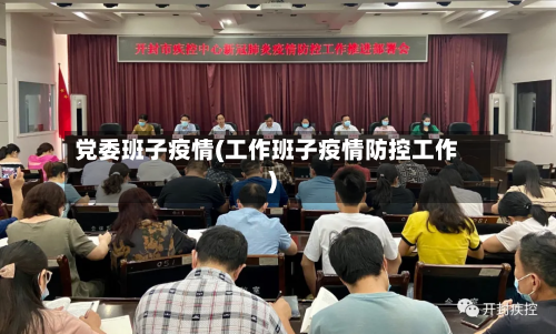 党委班子疫情(工作班子疫情防控工作)-第1张图片