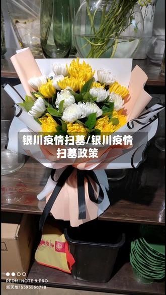 银川疫情扫墓/银川疫情扫墓政策-第1张图片