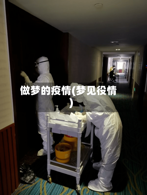 做梦的疫情(梦见役情)-第1张图片