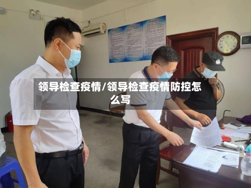 领导检查疫情/领导检查疫情防控怎么写-第2张图片