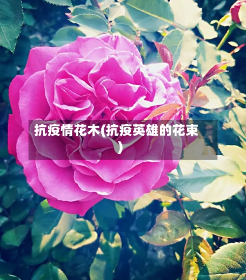 抗疫情花木(抗疫英雄的花束)-第3张图片