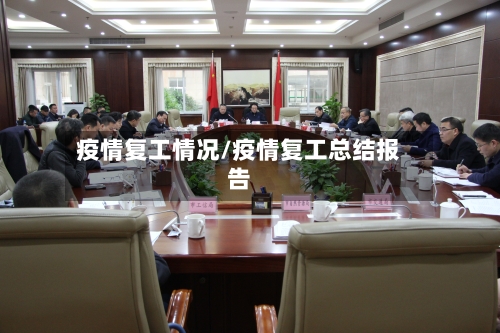 疫情复工情况/疫情复工总结报告-第1张图片