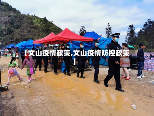 【文山疫情政策,文山疫情防控政策】-第3张图片