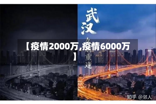 【疫情2000万,疫情6000万】-第3张图片