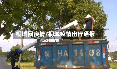 桐城网疫情/桐城疫情出行通报-第3张图片