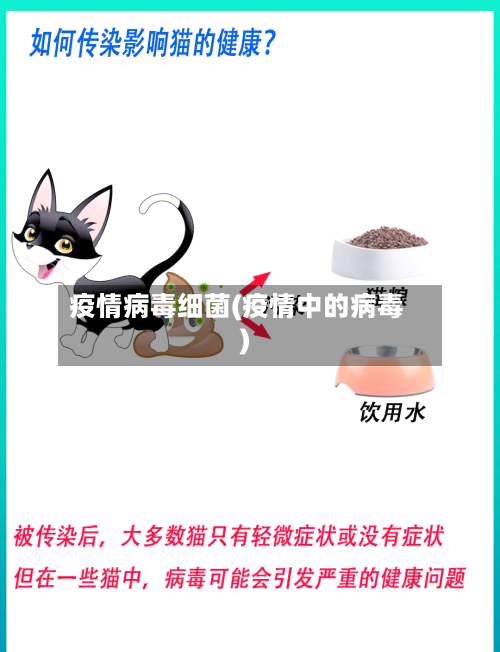 疫情病毒细菌(疫情中的病毒)-第2张图片