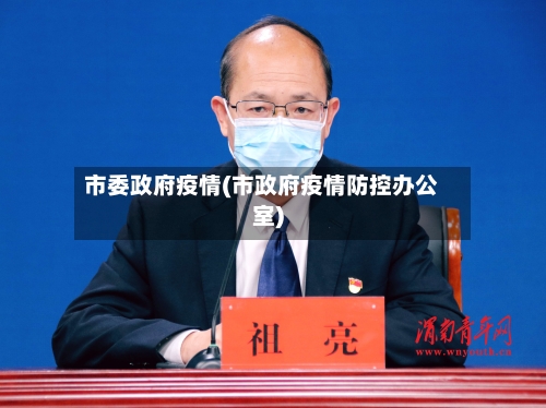 市委政府疫情(市政府疫情防控办公室)-第2张图片