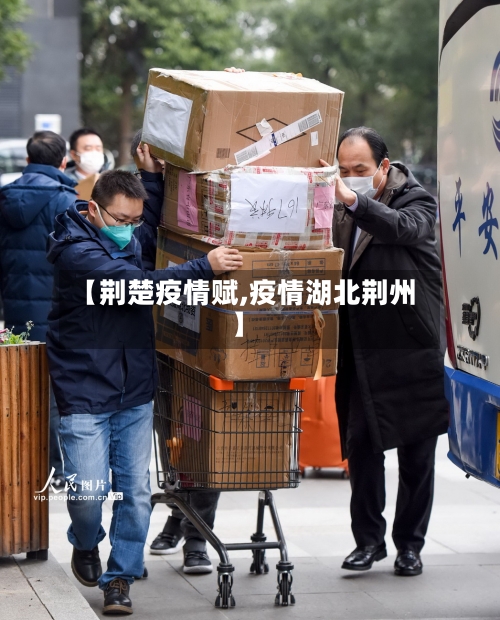 【荆楚疫情赋,疫情湖北荆州】-第3张图片