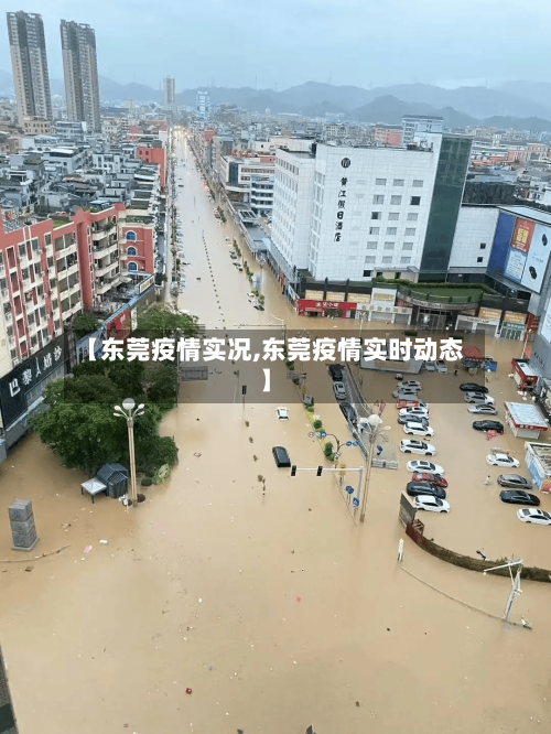 【东莞疫情实况,东莞疫情实时动态】-第3张图片