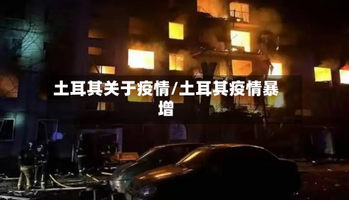 土耳其关于疫情/土耳其疫情暴增-第1张图片