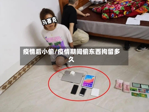 疫情后小偷/疫情期间偷东西拘留多久-第3张图片