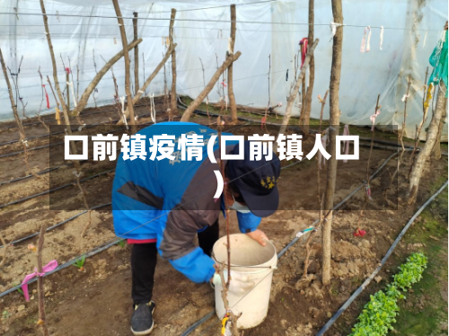 口前镇疫情(口前镇人口)-第1张图片
