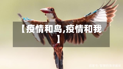 【疫情和鸟,疫情和我】-第2张图片
