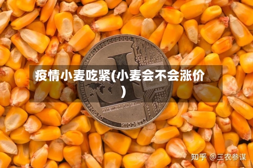 疫情小麦吃紧(小麦会不会涨价)-第3张图片