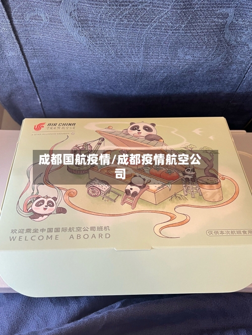 成都国航疫情/成都疫情航空公司-第3张图片