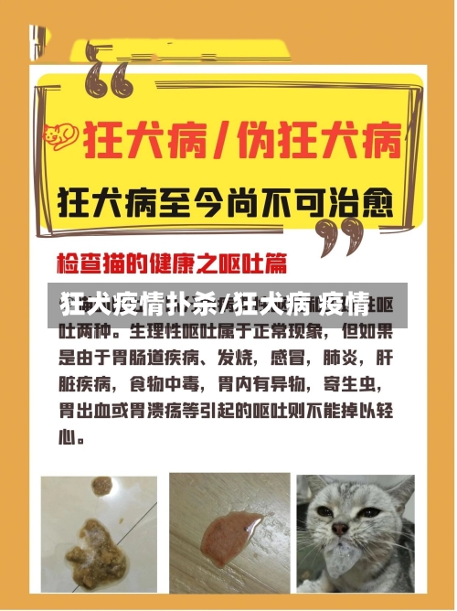 狂犬疫情扑杀/狂犬病 疫情-第2张图片