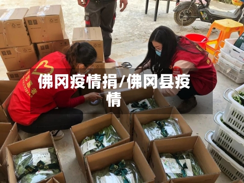 佛冈疫情捐/佛冈县疫情-第2张图片