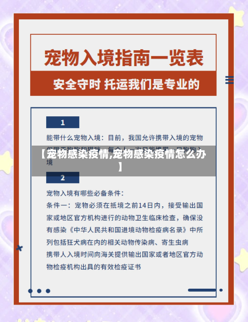 【宠物感染疫情,宠物感染疫情怎么办】