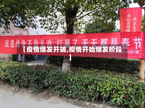 【疫情爆发开端,疫情开始爆发阶段】-第1张图片