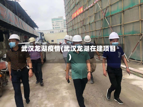 武汉龙湖疫情(武汉龙湖在建项目)-第2张图片