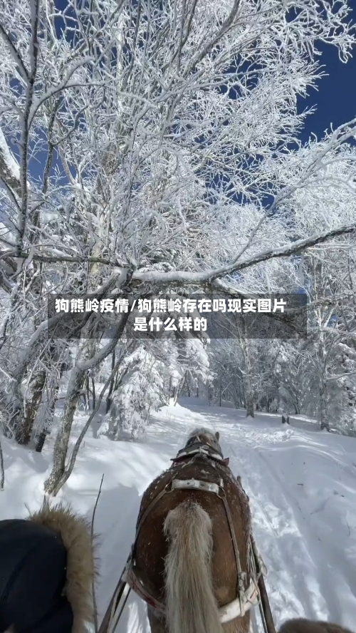 狗熊岭疫情/狗熊岭存在吗现实图片是什么样的-第2张图片