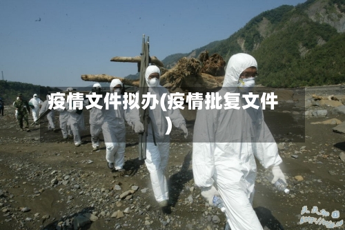 疫情文件拟办(疫情批复文件)-第1张图片