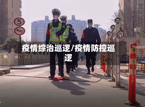 疫情综治巡逻/疫情防控巡逻-第3张图片