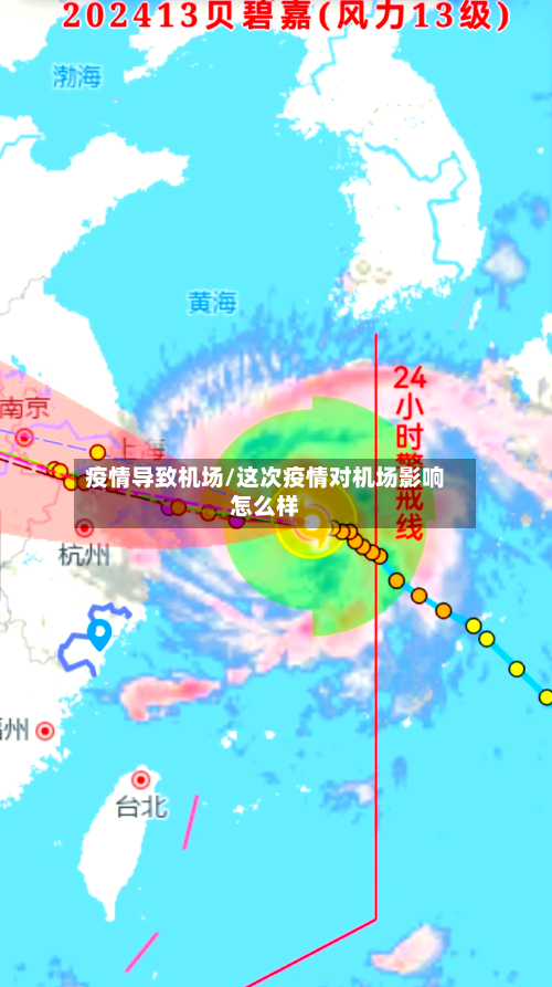 疫情导致机场/这次疫情对机场影响怎么样-第3张图片