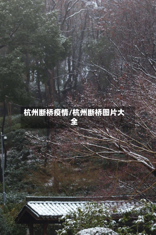 杭州断桥疫情/杭州断桥图片大全-第1张图片