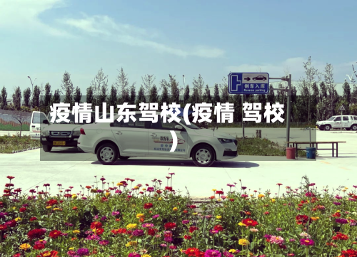 疫情山东驾校(疫情 驾校)-第1张图片