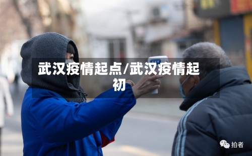 武汉疫情起点/武汉疫情起初-第1张图片