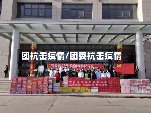 团抗击疫情/团委抗击疫情-第1张图片