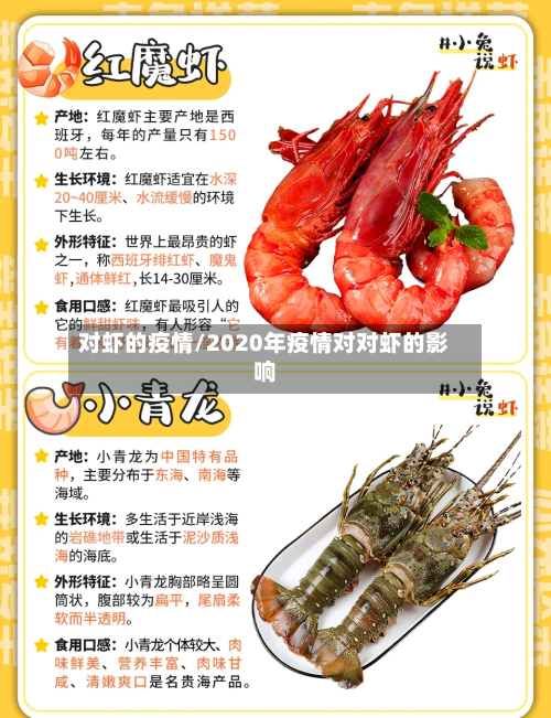 对虾的疫情/2020年疫情对对虾的影响-第1张图片