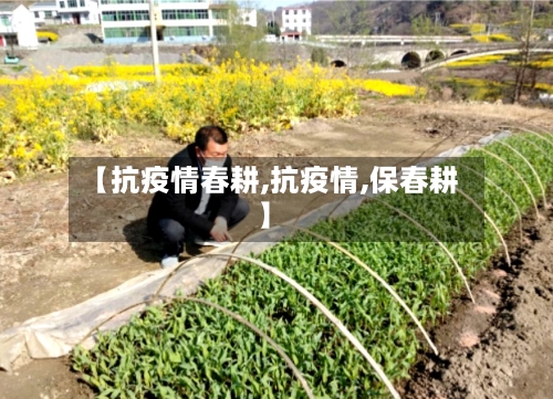 【抗疫情春耕,抗疫情,保春耕】-第1张图片