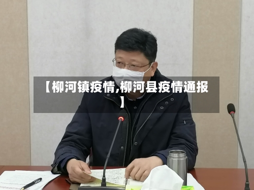 【柳河镇疫情,柳河县疫情通报】-第3张图片
