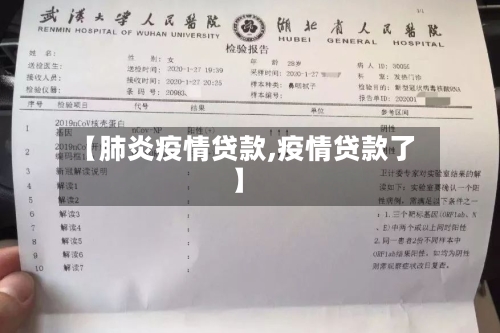 【肺炎疫情贷款,疫情贷款了】-第3张图片